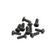 M2.5x6mm TP Round Head Screw (10pcs)