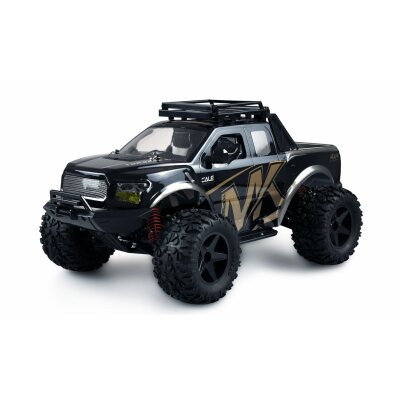 Warrior Monster Truck 1:10 RTR schwarz/gold