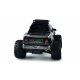 Warrior Monster Truck 1:10 RTR schwarz/gold