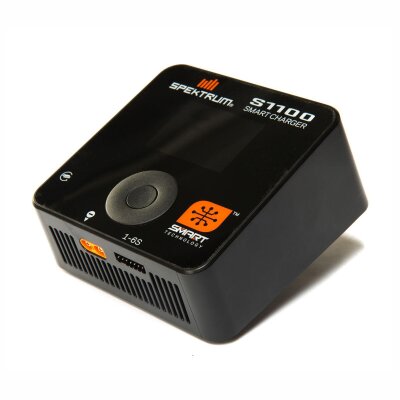 S1100 AC Smart Charger 1x100W (EU)
