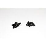 Kreuzschlitzschrauben M2x12 (12 St.) Hot Shot Sand Buggy