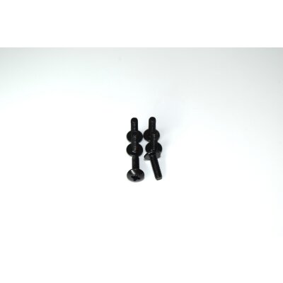 Kreuzschlitzschraube M3x10 (6 St.)