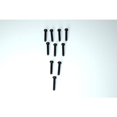 Schneid Kreuzschlitzschraube M2x10 (10 St.)