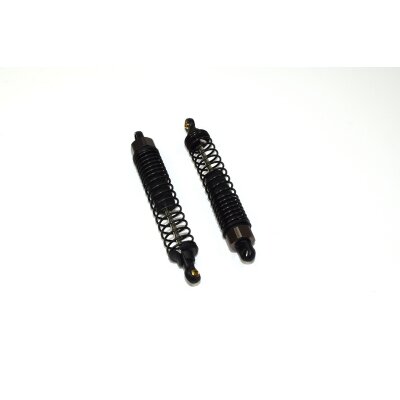 Dämpfer komplett v/h (2 St.)