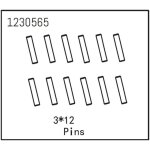 Pins 3*12 (12 St.)