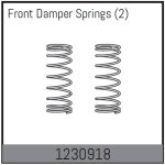 Dämpferfeder vorne (2 St.)