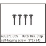 Outer Hex. Step Self-Tapping Screw M3*17 (4PCS)