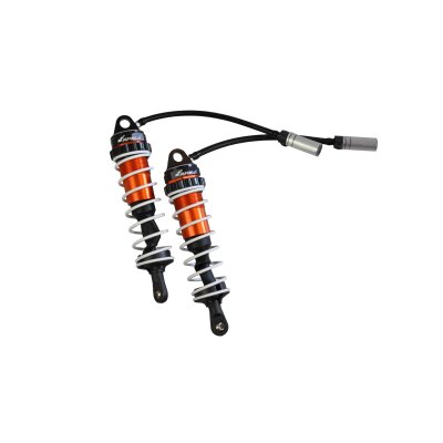 Stoßdämpfer vorne, 2 Stück RXB7