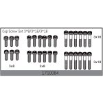 Zylinderkopfschraubenset 3*8/3*16/3*18