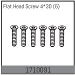 Senkkopfschrauben 4*30 (6 St.)