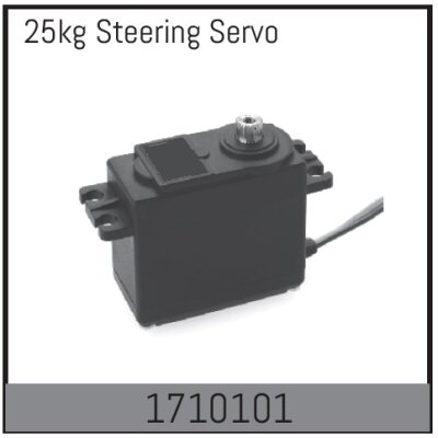 25kg Servo