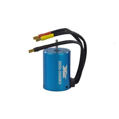 Brushless Motor 3650 Crusher