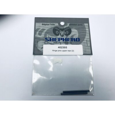 Hinge pins upper rear - set of 2pcs