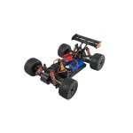 Amewi Entelodon Pro Truggy brushless 4WD 1:18 RTR