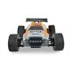 Amewi Entelodon Pro Truggy brushless 4WD 1:18 RTR