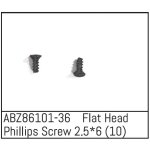 Flat Head Phillips Screw 2.5*6 - Mini AMT (10 St.)