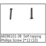 Self-tapping Phillips Screw 2*12 - Mini AMT (10 St.)
