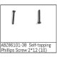 Self-tapping Phillips Screw 2*12 - Mini AMT (10 St.)