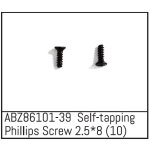 Self-tapping Phillips Screw 2.5*8 - Mini AMT (10 St.)