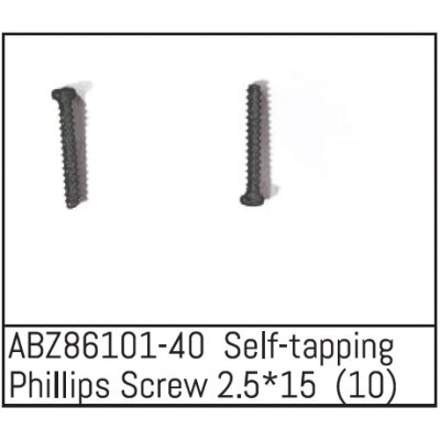 Self-tapping Phillips Screw 2.5*15 - Mini AMT (10 St.)