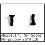 Self-tapping Phillips Screw 2.5*8 - Mini AMT (10 St.)