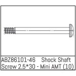 Shock Shaft Screw 2.5*30 - Mini AMT (10 St.)