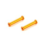 Alu Antennenhalterpfosten 28.5mm Orange (2)
