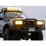 FMS Toyota Land Cruiser 80 1:10 grau - Crawler RS 2.4GHz