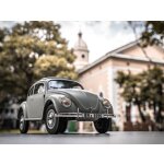 Rochobby Beetle the Peoples Car  1:12 - Scaler  RTR 2.4