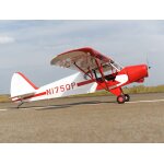 Phoenix Piper Super Cub PA-18 -  273 cm