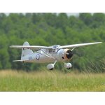 Phoenix Westland Lysander - 190 cm