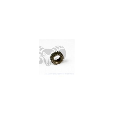 Shepherd Ritzel 21 Z, 2. Gang / Pinion 2nd gear 21T