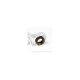 Shepherd Ritzel 21 Z, 2. Gang / Pinion 2nd gear 21T