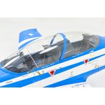 Phoenix PC21 blau Turboprop ARF GFK/CFK - 210cm / 96