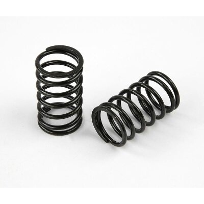 Feder medium Rally X4 2 Stk.