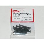 LINSENKOPFSCHRAUBEN M3X25 (10) - METALL