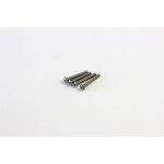 LINSENKOPF-SECHSKANTSCHRAUBEN M3X22 (4) TITAN