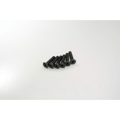 SENKKOPF-SECHSKANTSCHRAUBEN M4X18 (6) / 1399