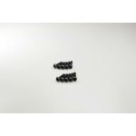 RUNDKOPFSCHRAUBEN M4X12 (10) - METALL