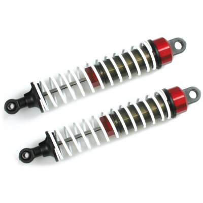 Vordere Dämpfer Satz Protos V1 Option