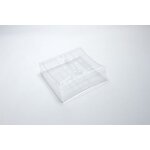 Heckspoiler Step Wing 3.0 Ultima RB6 -Lazer ZX6