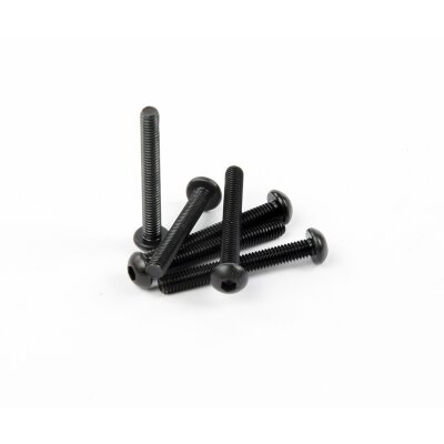 M3.5x28mm Rundkopfschraube (6)