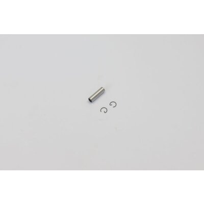 KOLBENBOLZEN MOTOR XXL