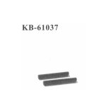 KB-61037 Hinge Pins Querlenker vorne außen
