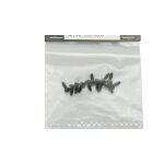 Self Tapping Screw 3*8 ONE TEN