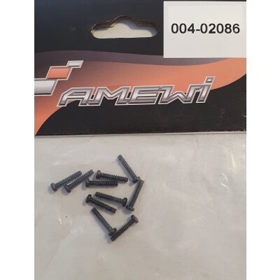 02086 Rundkopfschraube 3x10mm Kreuzschlitz, 10 Stück