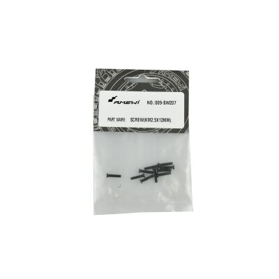 SW207 Senkkopfschraube M2.5x12 mm 10 Stück, EVO-X 6000