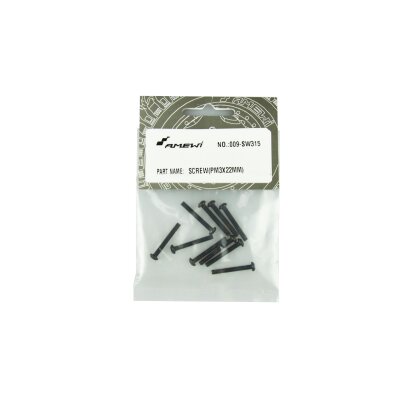 SW315 Linsenkopfschraube M3x22 mm 10 Stück, EVO-X 6000