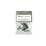 SW315 Linsenkopfschraube M3x22 mm 10 Stück, EVO-X 6000