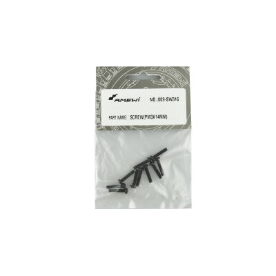 SW316 Linsenkopfschraube M3x14 mm 10 Stück, EVO-X 6000